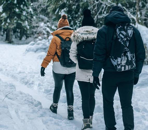Travels Tribe
